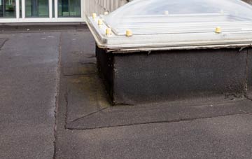 disadvantages of Ivybridge flat roofs
