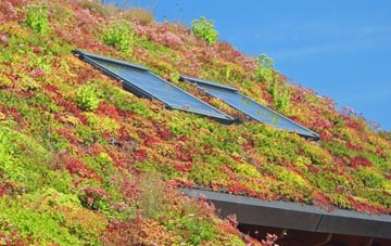 Ivybridge living roof systems
